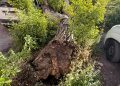 Albero cade su due auto nel parcheggio di Sala Consilina