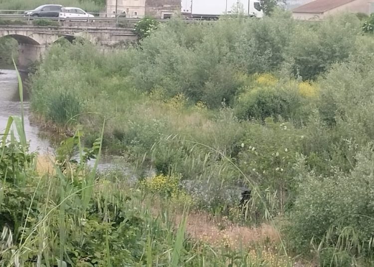 Consorzio di Bonifica, un milione di euro per il Fiume Tanagro a Sassano: al via ai lavori per la vasca Cappuccini