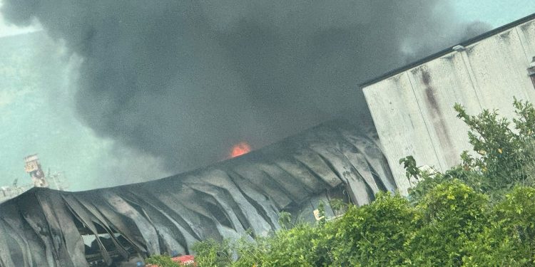 In fiamme un’azienda a Sant’Arsenio: paura e danni. Per fortuna nessun ferito