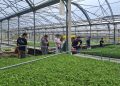 Formazione Scuola Lavoro in azienda per gli studenti di Agricoltura e Risorse Forestali del “Cicerone” di Sala Consilina