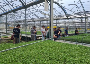 Formazione Scuola Lavoro in azienda per gli studenti di Agricoltura e Risorse Forestali del “Cicerone” di Sala Consilina