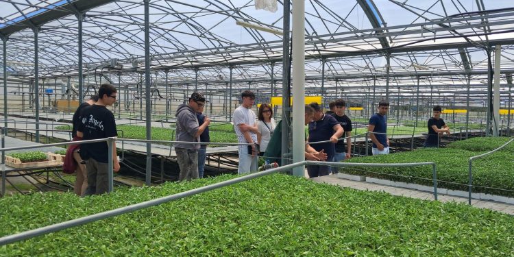 Formazione Scuola Lavoro in azienda per gli studenti di Agricoltura e Risorse Forestali del “Cicerone” di Sala Consilina