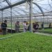 Formazione Scuola Lavoro in azienda per gli studenti di Agricoltura e Risorse Forestali del “Cicerone” di Sala Consilina