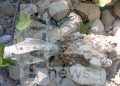 Ordigno bellico trovato sulla riva del Tanagro ad Auletta