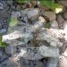 Ordigno bellico trovato sulla riva del Tanagro ad Auletta