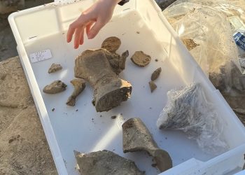 Policoro, nuove scoperte archeologiche nell’antica Siris: trovate mura arcaiche e depositi votivi