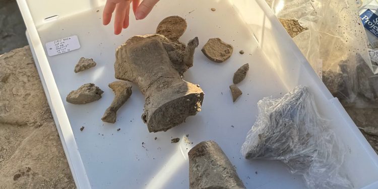Policoro, nuove scoperte archeologiche nell’antica Siris: trovate mura arcaiche e depositi votivi