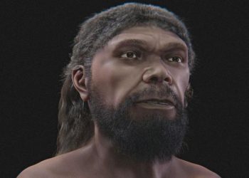 Le tracce dei primi Homo Sapiens nel cuore degli Alburni: la scoperta nelle Grotte di Castelcivita