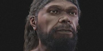 Le tracce dei primi Homo Sapiens nel cuore degli Alburni: la scoperta nelle Grotte di Castelcivita