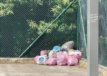 Moliterno, i bambini ripuliscono il campetto da rifiuti ed erbacce. Il sindaco Rubino: “Ci hanno dato una lezione enorme”