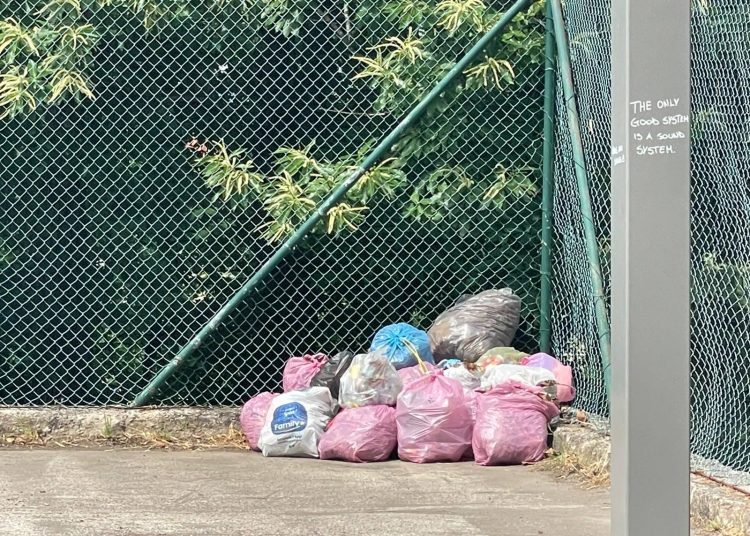 Moliterno, i bambini ripuliscono il campetto da rifiuti ed erbacce. Il sindaco Rubino: “Ci hanno dato una lezione enorme”