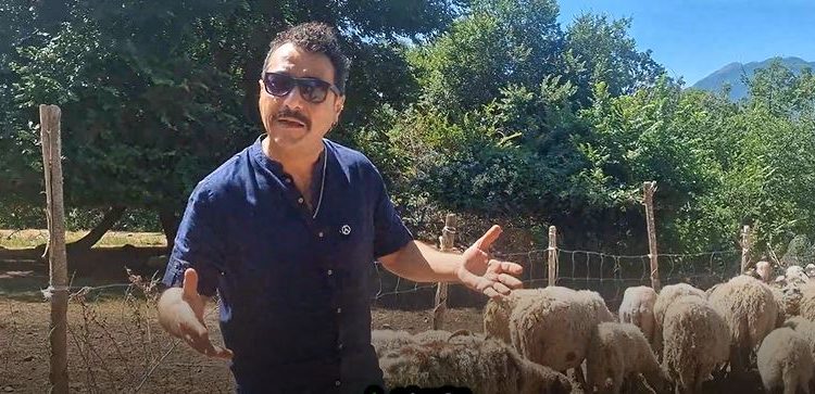 Ritorna Alburni Net con il racconto della “Festa della Tosatura”: stasera l’anteprima su Italia2 News