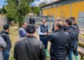 Basilicata, oltre 5,6 milioni per assistenza tecnica e sanità negli allevamenti
