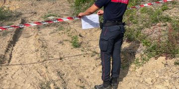 Abusi in area protetta del Cilento, sequestrato bosco di tre ettari nel Comune di Serramezzana