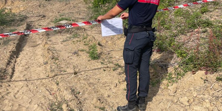 Abusi in area protetta del Cilento, sequestrato bosco di tre ettari nel Comune di Serramezzana
