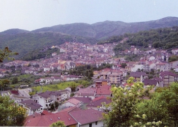Monte San Giacomo, tagliati tre pali della linea elettrica a bassa tensione in località Pegliera: indagini in corso