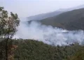 Incendi boschivi, in Campania scatta l’allerta estiva. Dal 15 giugno al 30 settembre regime di massima attenzione