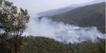 Incendi boschivi, in Campania scatta l’allerta estiva. Dal 15 giugno al 30 settembre regime di massima attenzione