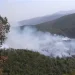 Incendi boschivi, in Campania scatta l’allerta estiva. Dal 15 giugno al 30 settembre regime di massima attenzione