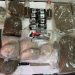Maxi sequestro di droga a Salerno: arrestato un uomo