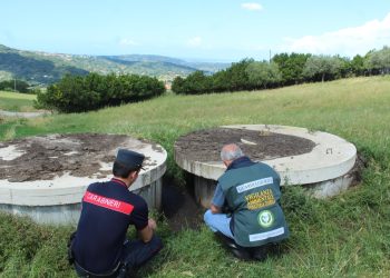 Liquami smaltiti illecitamente in un’azienda suinicola della Piana del Sele: denunciato il proprietario