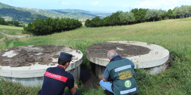 Liquami smaltiti illecitamente in un’azienda suinicola della Piana del Sele: denunciato il proprietario