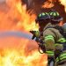 Nel 2025 in Basilicata 173 incendi e 5.900 ettari in fumo: presentato il Piano antincendio 2026