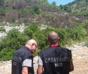 Campagna Antincendio Boschivo 2026: i Carabinieri rafforzano il dispositivo nazionale per difendere i boschi italiani