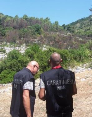 Campagna Antincendio Boschivo 2026: i Carabinieri rafforzano il dispositivo nazionale per difendere i boschi italiani