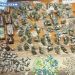 Capaccio Paestum, arrestato con oltre un chilo di droga: sequestrate eroina, crack, cocaina, marijuana e hashish