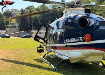 Controlli straordinari nel territorio di Venosa: elevate sanzioni per oltre 20mila euro