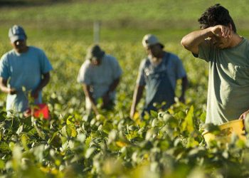 Campania, emergenza caldo: Cgil, Cisl e Uil chiedono ordinanza regionale per stop ai lavori nelle ore più calde