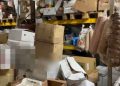 Salerno, controlli del NAS nelle zone della movida: irregolare l’80% delle attività ispezionate