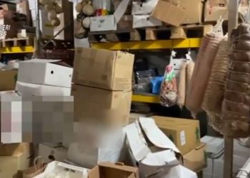 Salerno, controlli del NAS nelle zone della movida: irregolare l’80% delle attività ispezionate