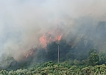 Fiamme tra Polla e Pertosa. Fumo sull’A2