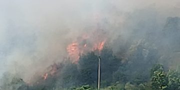 Fiamme tra Polla e Pertosa. Fumo sull’A2