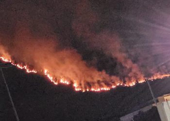 Paura a Praia a Mare, l’incendio lambisce anche le abitazioni