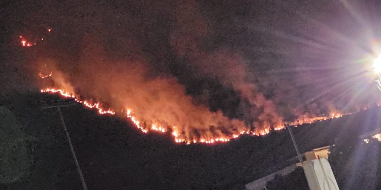 Paura a Praia a Mare, l’incendio lambisce anche le abitazioni