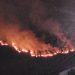 Paura a Praia a Mare, l’incendio lambisce anche le abitazioni