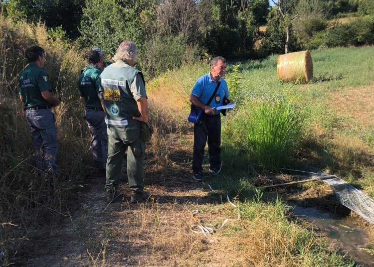 Bracconaggio a Capaccio Paestum: scoperto un sistema illegale per la cattura di cardellini