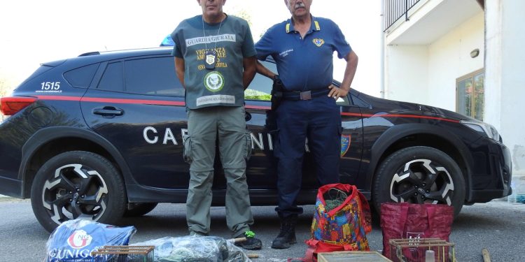 Altri bracconieri di cardellini scoperti e denunciati a Capaccio Paestum