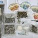 Blitz della Squadra Mobile a Salerno: arrestato 37enne con cocaina, marijuana, hashish e ketamina