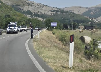 Scontro tra Polla e Sant’Arsenio: auto va fuori strada e si ribalta