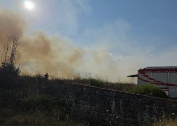 Ancora un incendio a Polla lungo la Sicignano-Lagonegro