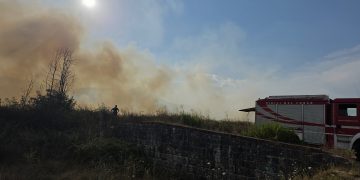 Ancora un incendio a Polla lungo la Sicignano-Lagonegro