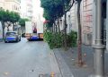 Albero abbattuto in via dei Principati a Salerno: individuato e sanzionato il responsabile. Dovrà ripiantarne uno nuovo