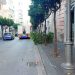 Albero abbattuto in via dei Principati a Salerno: individuato e sanzionato il responsabile. Dovrà ripiantarne uno nuovo