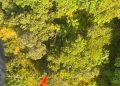 Paura a Monte San Giacomo: marito e moglie smarriti in montagna. Salvati