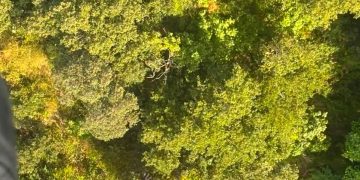 Paura a Monte San Giacomo: marito e moglie smarriti in montagna. Salvati