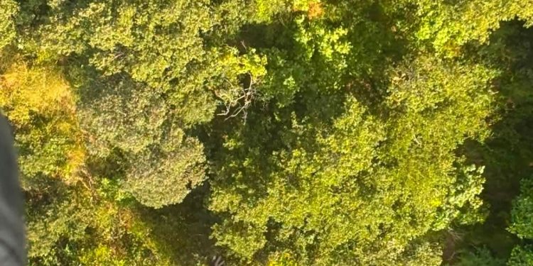 Paura a Monte San Giacomo: marito e moglie smarriti in montagna. Salvati